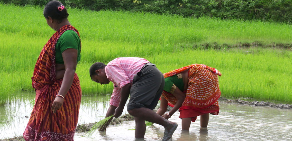 State Govt setting up met observatories for farmers State Govt setting up met observatories for farmers
