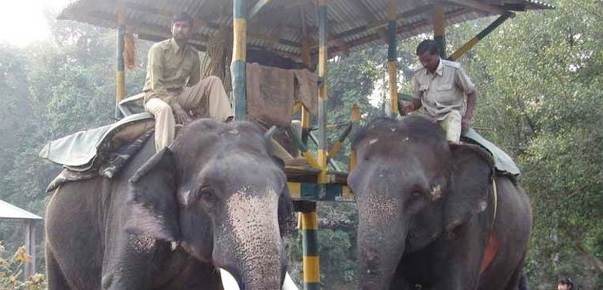 State Govt training to combat poaching State Govt training to combat poaching