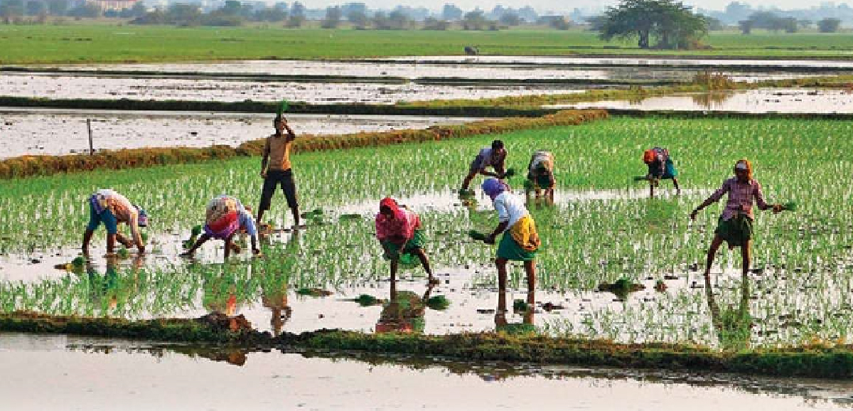 কৃষক স্বার্থে রাজ্যে ২ হাজার সমবায় হাব তৈরি করা হচ্ছে কৃষক স্বার্থে রাজ্যে ২ হাজার সমবায় হাব তৈরি করা হচ্ছে