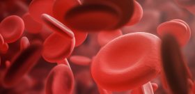 State Govt starts Haemophilia Control Programme State Govt starts Haemophilia Control Programme