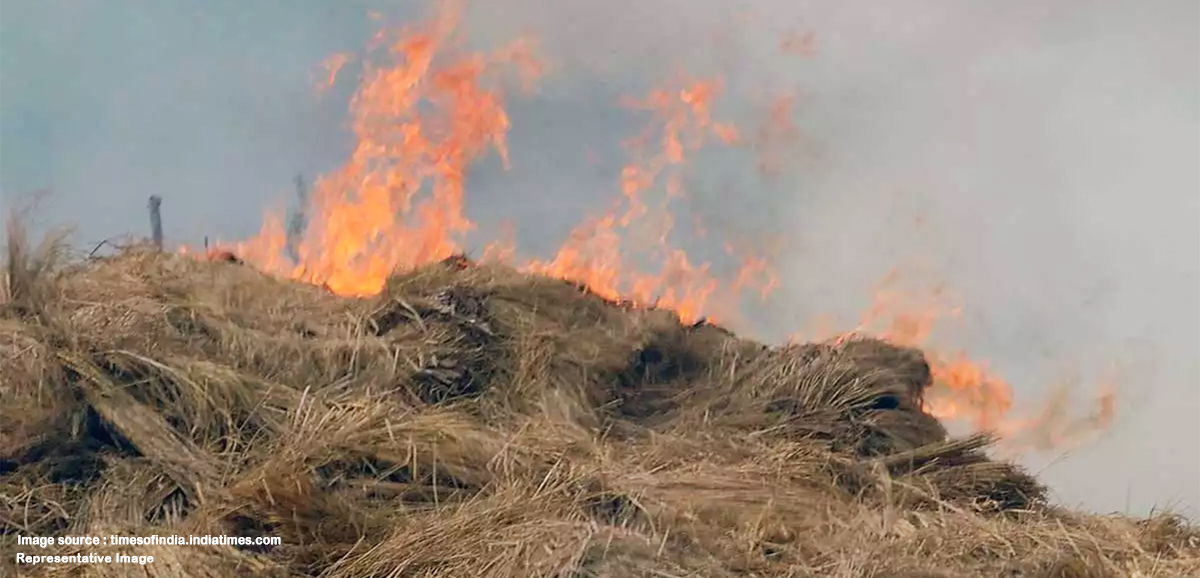 State Govt focussing on alternatives to stubble burning State Govt focussing on alternatives to stubble burning