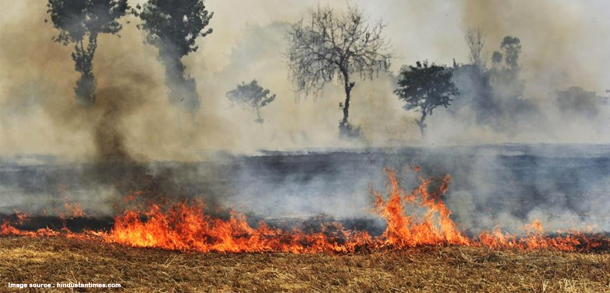 WBPCB to install sensors to detect stubble burning WBPCB to install sensors to detect stubble burning