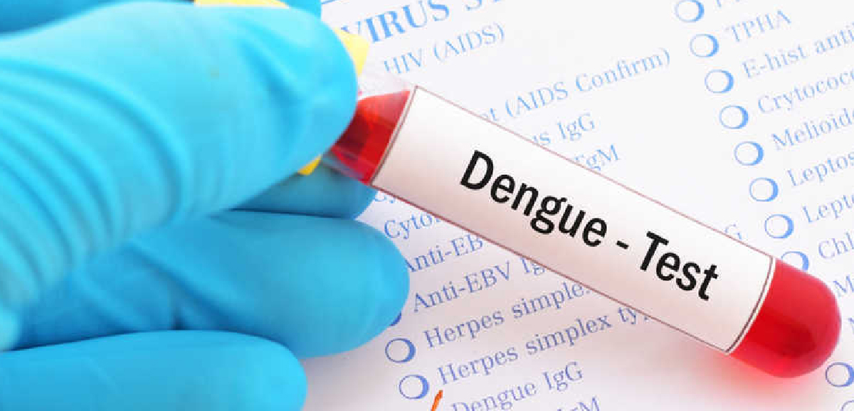 Anti-dengue rallies by KMC on Feb 8 Anti-dengue rallies by KMC on Feb 8