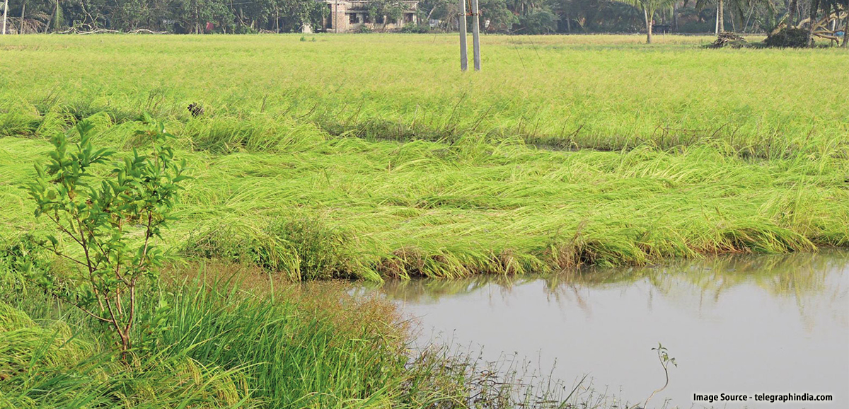 ঘূর্ণিঝড় বুলবুল: রাজ্যের দৌলতে এখনও পর্যন্ত ১৬০ কোটি টাকা বিলি ঘূর্ণিঝড় বুলবুল: রাজ্যের দৌলতে এখনও পর্যন্ত ১৬০ কোটি টাকা বিলি
