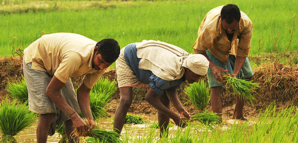 বাংলায় ক্রেডিট পোটেনশিয়াল বেড়ে হতে পারে ১.৯ লক্ষ কোটি টাকা: নাবার্ড