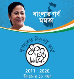 TMC Report Card 2011-2020 English Edition