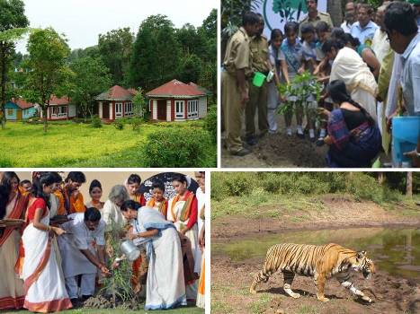 1000 days at a glance: Conservation of forests 1000 days at a glance: Conservation of forests