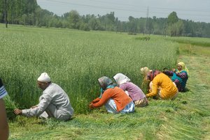 Chief Minister sets up committee, highlights land-bank formation
