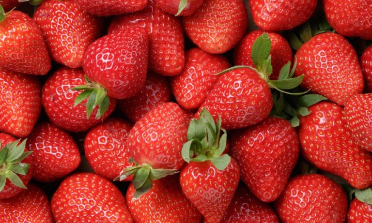 Bengal Govt promoting strawberry production